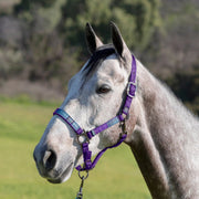 Reflective Nylon Halter with Textliene Kensington Protective Products