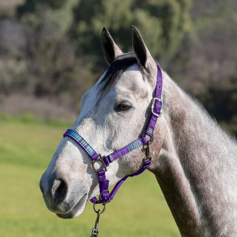 Reflective Nylon Halter with Textliene Kensington Protective Products