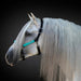 Kensington horse halter - padded halter - throat snap - Atlantis - Teal - Turquoise - Adjustable Chin