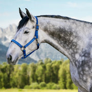 Reflective Nylon Halter with Textliene Kensington Protective Products