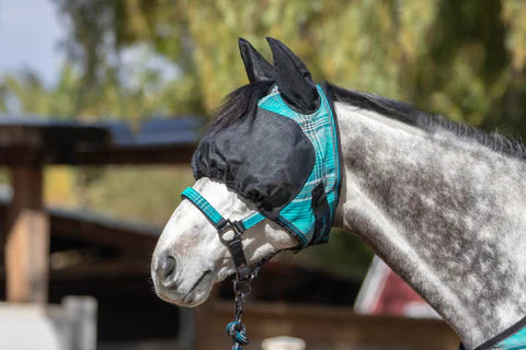 Kensington UViator Dartless Fly Mask with Web Trim & Soft Ears w/Forelock Opening