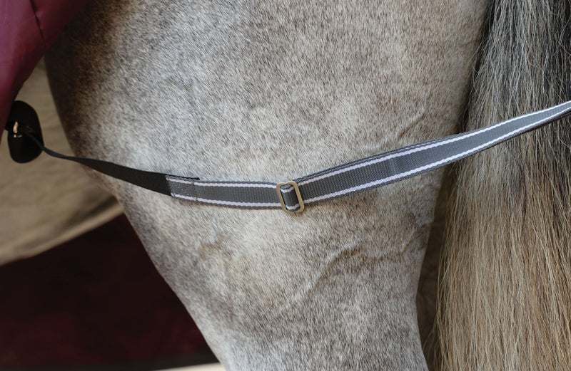 WeatherBeeta ComFiTec Plus Dynamic II Detach-A-Neck Turnout Sheet (0g Lite) - Leg Strap