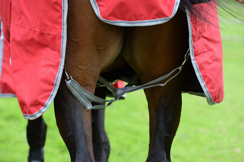 WeatherBeeta ComFiTec Classic Standard Neck Turnout Sheet (0g Lite) - Leg Straps