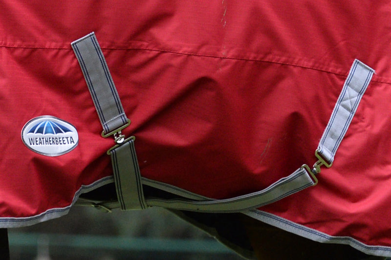 WeatherBeeta ComFiTec Classic Standard Neck Turnout Sheet (0g Lite) - Surcingles