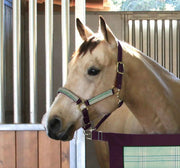 Reflective Nylon Halter with Textliene Kensington Protective Products