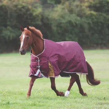 Shires Highlander Plus Standard Neck Turnout Blanket (100g Medium-Lite)Shires Highlander Plus Standard Neck Turnout Blanket (100g Medium-Lite)