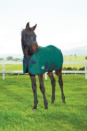 WeatherBeeta 1200D Foal II Standard Neck Turnout Blanket (220g Medium) in Hunter with Navy Trim