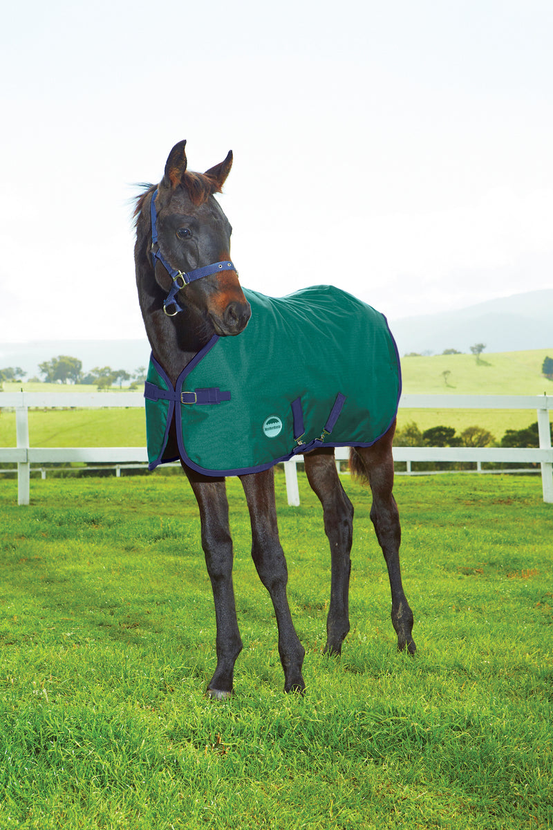WeatherBeeta 1200D Foal II Standard Neck Turnout Blanket (220g Medium) in Hunter with Navy Trim
