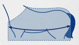 How to Size your Horse