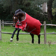 image_main - Red/Silver/Navy - WeatherBeeta ComFiTec Classic Standard Neck Medium - .jpg