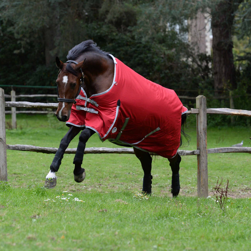 image_main - Red/Silver/Navy - WeatherBeeta ComFiTec Classic Standard Neck Medium - .jpg