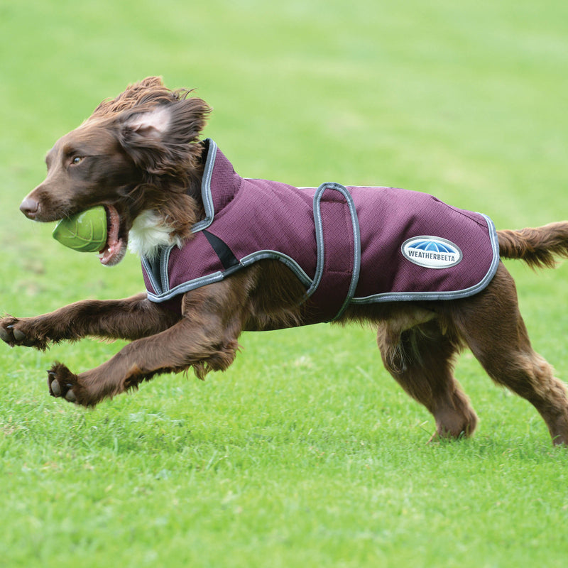 image_addtnl_4 - Maroon/Grey/White - WeatherBeeta ComFiTec Premier Free Parka Deluxe Dog Coat Medium - .jpg