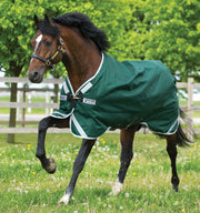 Rambo Original turnout sheet with leg arches