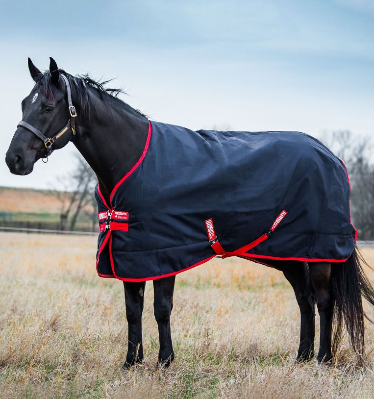 Rambo 1000D Turnout Blanket (200g Medium)