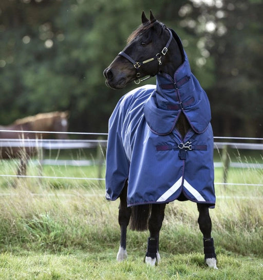 Rambo Optimo Plus Turnout Sheet (0g Light, 0g Hood) in Navy with Burgundy, Teal and Navy Trim - On horse, view from front