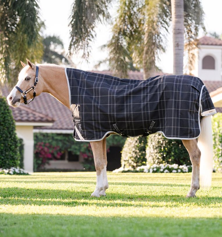 Rhino Wug Pony Turnout Sheet (0g Lite)