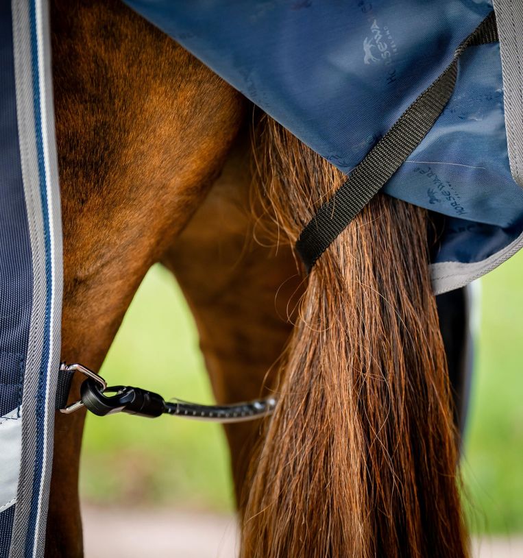 Rambo 1680D Turnout Blanket (Vari-Layer 250g Medium)