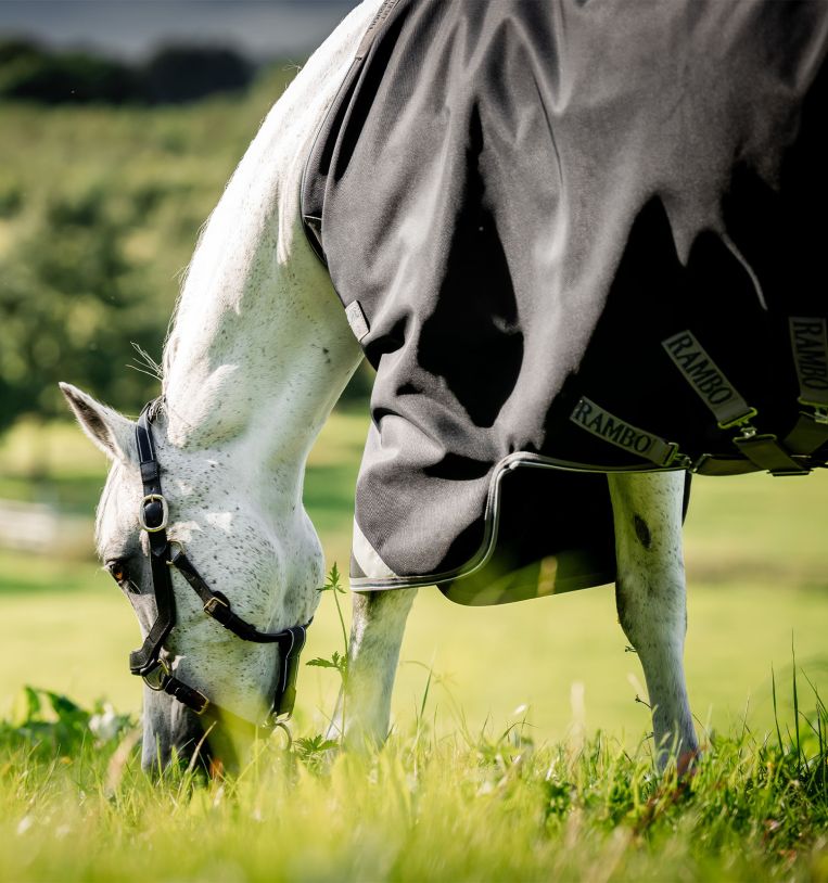 Rambo 1680D Turnout Blanket (100g Medium-Lite)