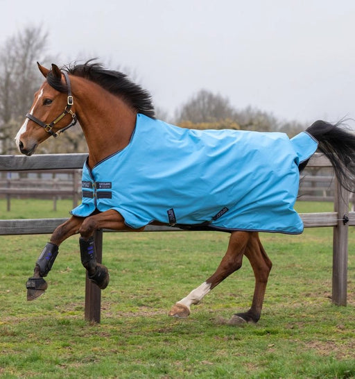 Amigo Hero 900 Turnout Sheet (0g Light) in Capri with Gunmetal and Bluebell Trim - On horse, side view