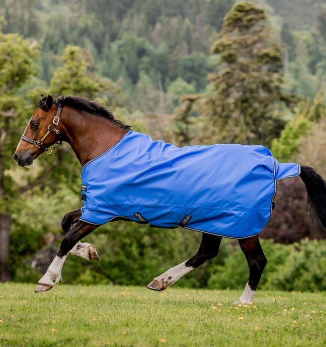 Amigo Hero Ripstop Turnout Sheet (0g Light) in Blue with Navy and Grey Trim - On horse running