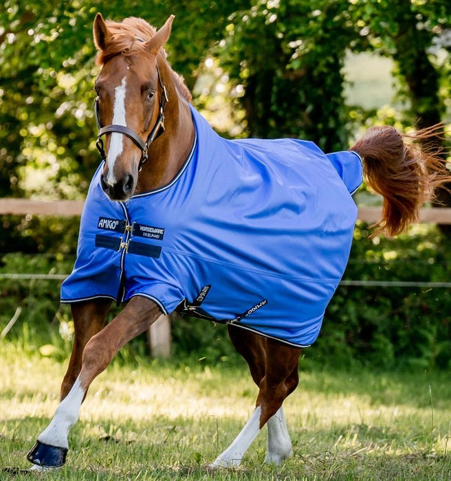 Amigo Hero Ripstop Turnout Blanket (50g Medium-Lite) in Blue (Navy/Grey Trim) - On brown horse running