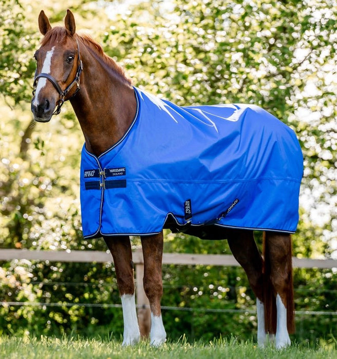 Amigo Hero Ripstop Turnout Blanket (50g Medium-Lite) in Blue (Navy/Grey Trim) - On brown horse standing