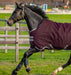 Amigo Hero Ripstop Turnout Blanket (50g Medium-Lite) in FIg (Silver Trim) - On horse running profile view