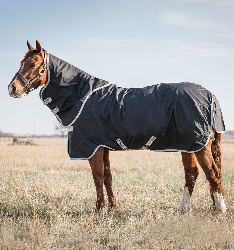 Amigo Stock Horse Turnout Sheet (0g Lite) in Black (Silver Trim)