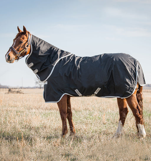 Amigo Stock Horse Turnout Sheet (0g Lite) in Black (Silver Trim)