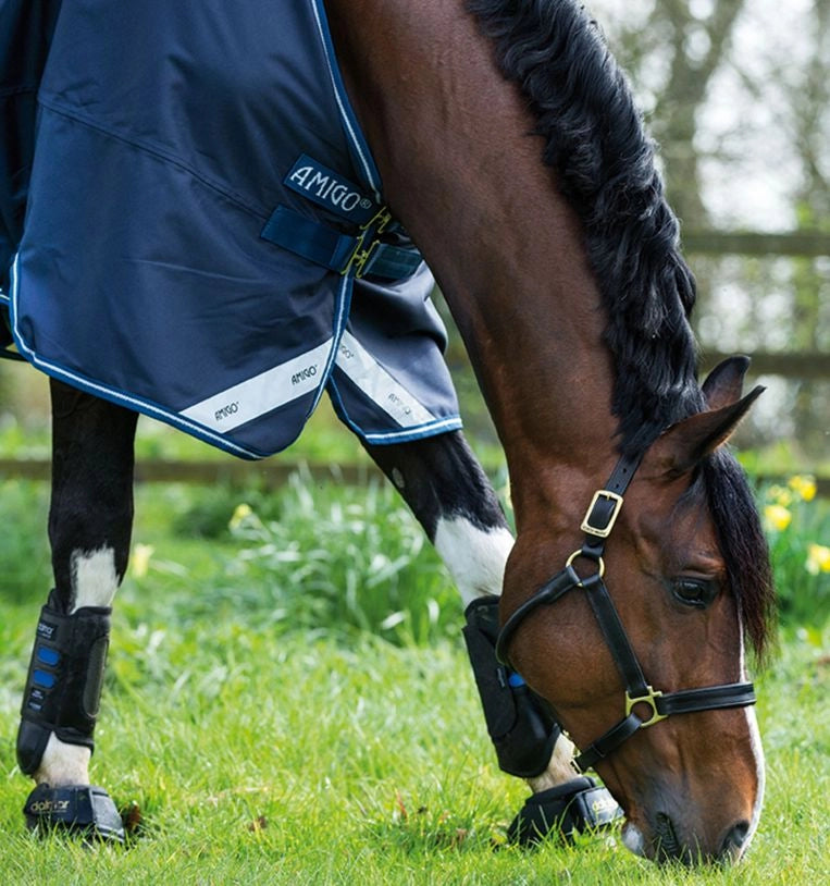 Amigo Bravo 12 Original Turnout Sheet (0g Light) Closeout