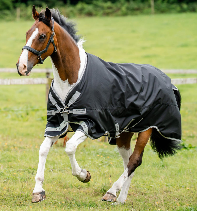 Amigo Bravo 12 XL Original Turnout Sheet (0g Lite) in Black (Titanium Grey & Silver Trim)