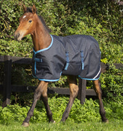 Amigo Ripstop Foal Turnout Blanket (200g Medium) in Navy (Electric Blue Trim)