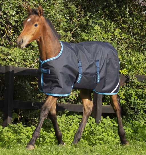 Amigo Ripstop Foal Turnout Blanket (200g Medium) in Navy (Electric Blue Trim)