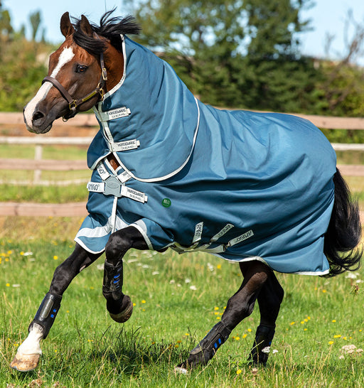Amigo AmECO 12 Plus Turnout Blanket (100g Medium-Lite, 0g Hood) in Teal (Grey Trim)