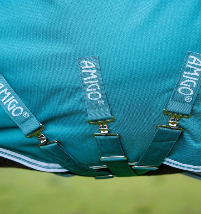 Amigo Bravo 12 Wug Turnout Blanket (250g Medium) - Closeout