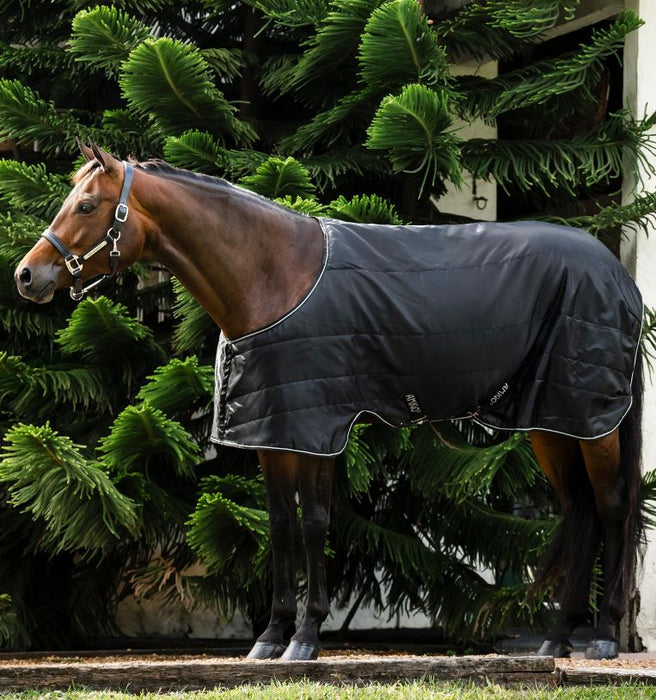 Amigo Quarter Horse Stable 100g