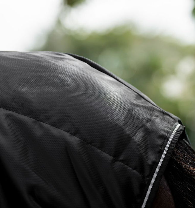 Amigo Quarter Horse Stable 100g