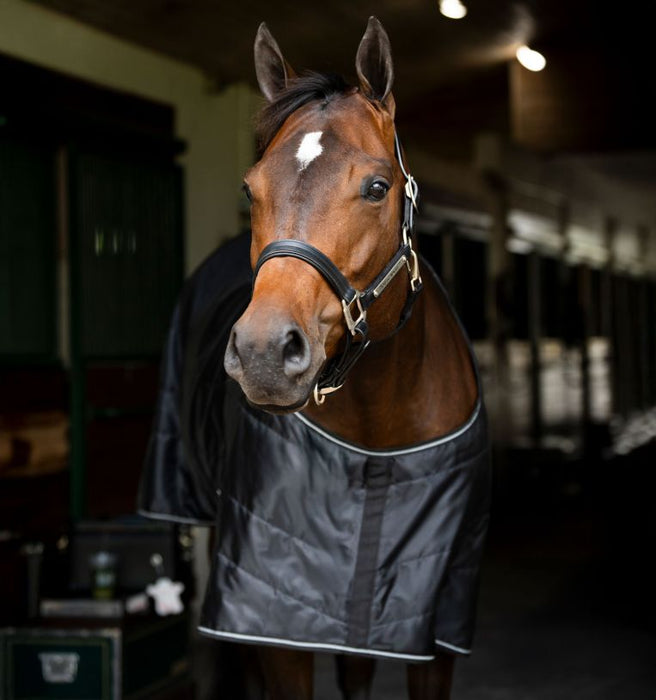 Amigo Quarter Horse Stable 100g