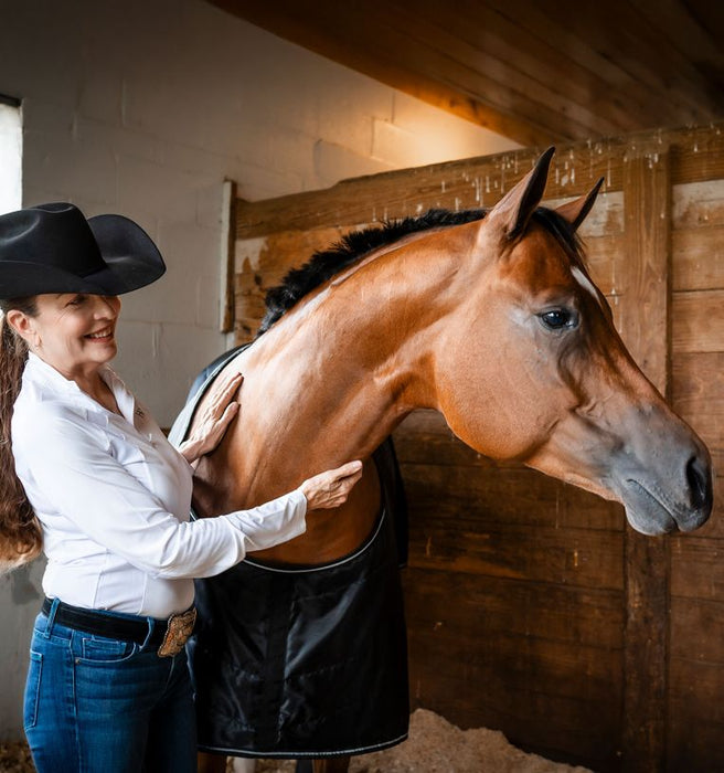 Amigo Quarter Horse Stable 100g