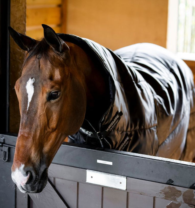 Amigo Ripstop Insulator Plus Stable Blanket (200g Medium)