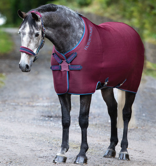 Rambo Airmax Cooler with Disc Front Closure (No Fill) in Burgundy (Teal/Navy Trim)