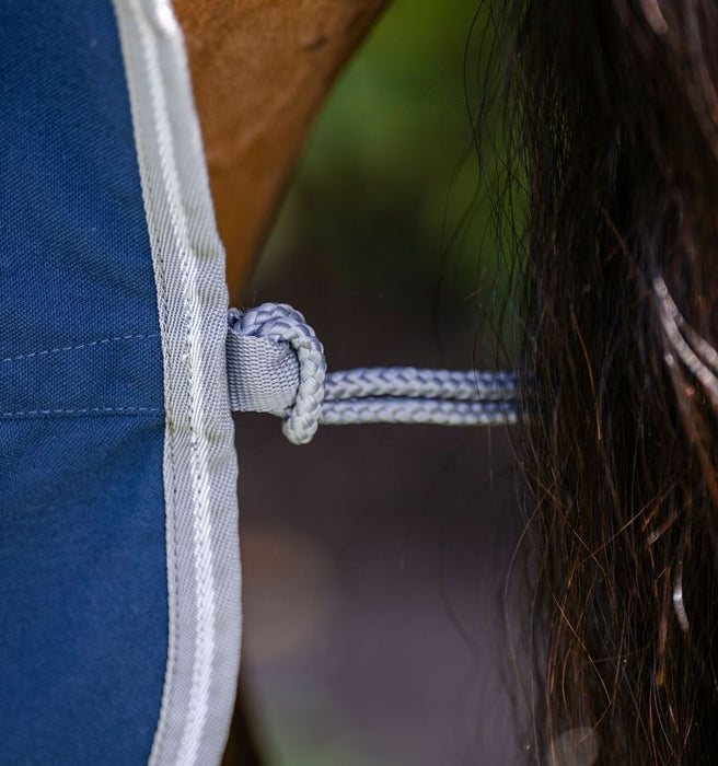 Amigo Stable Sheet (No Fill)