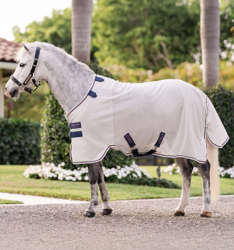 Amigo Bug Rug Plus Pony Fly Sheet (No Fill + Hood)