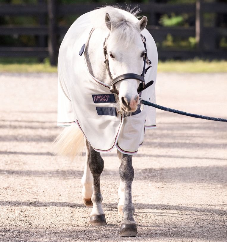 Amigo Bug Rug Pony Fly Sheet (No Fill)