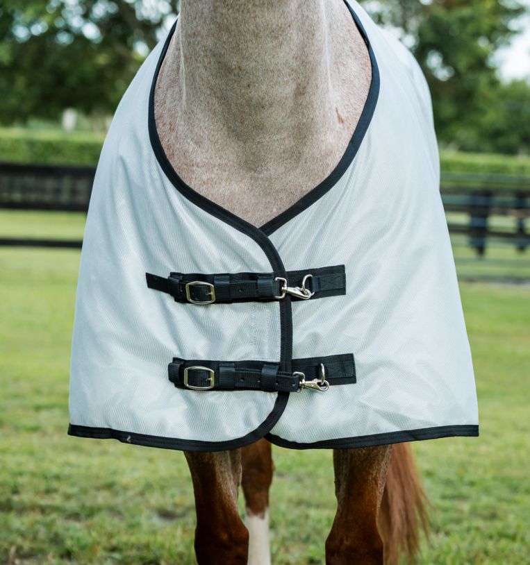 Amigo Bug Rug Quarter Horse Fly Sheet (No Fill)