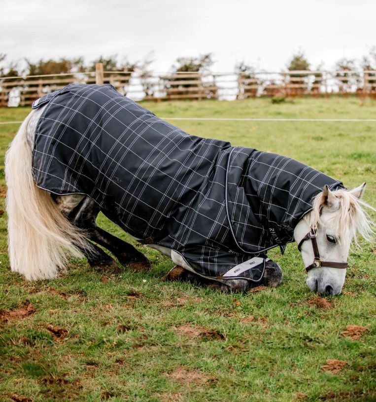 Rhino Plus Pony Turnout Bundle (0g Outer + 200g Liner + Hood)