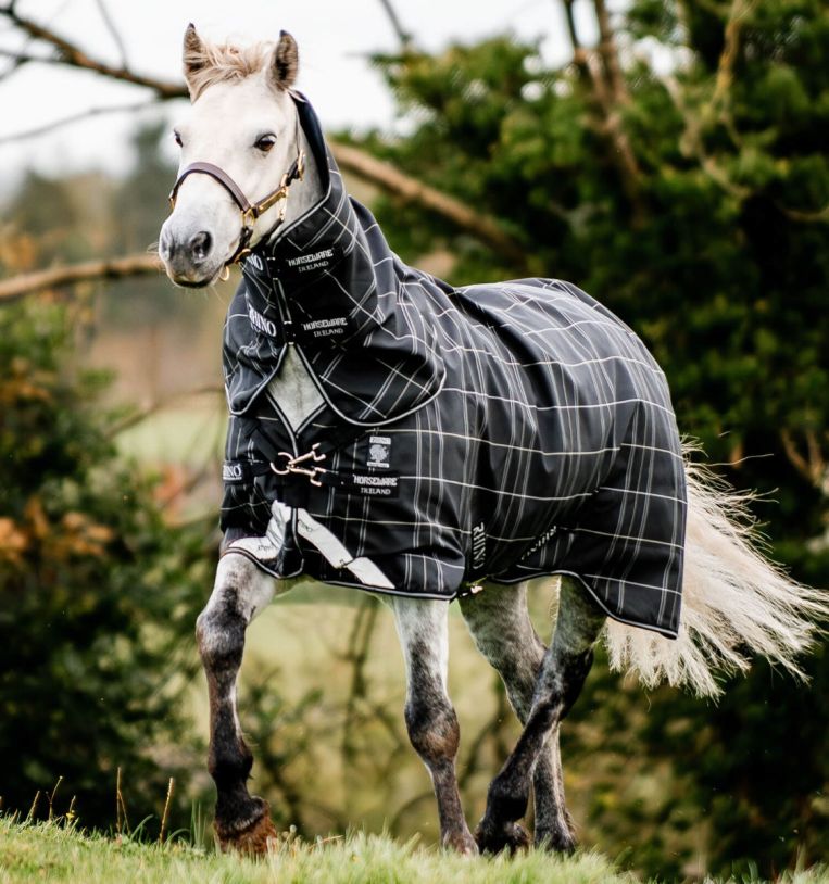 Rhino Plus Pony Turnout Bundle (0g Outer + 200g Liner + Hood)