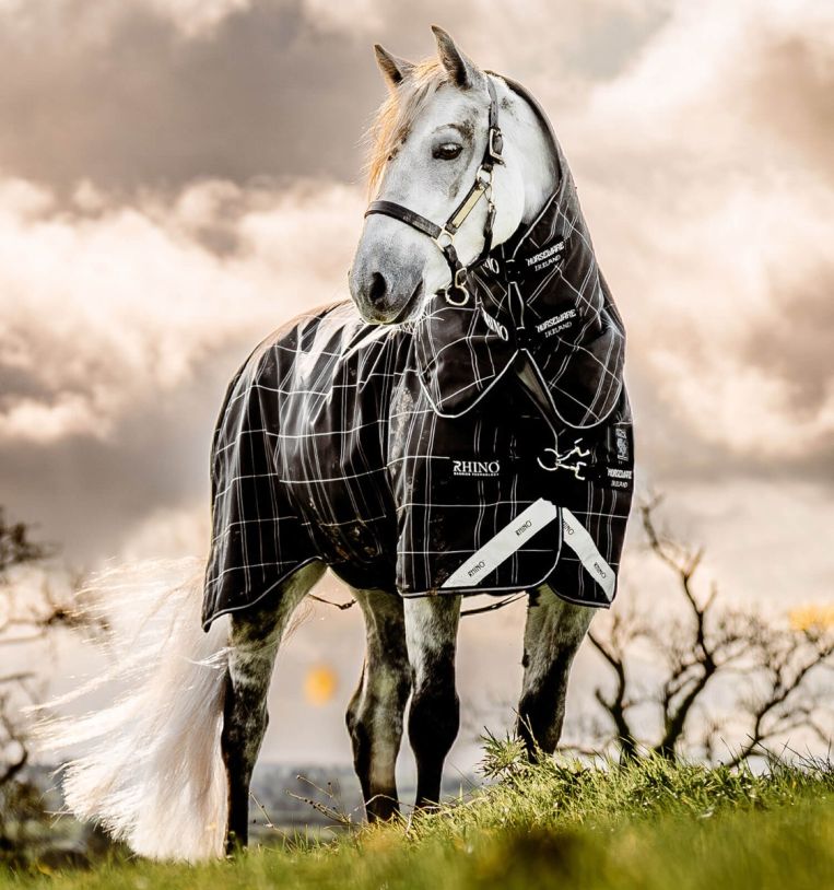 Rhino Plus Pony Turnout Bundle (0g Outer + 200g Liner + Hood)