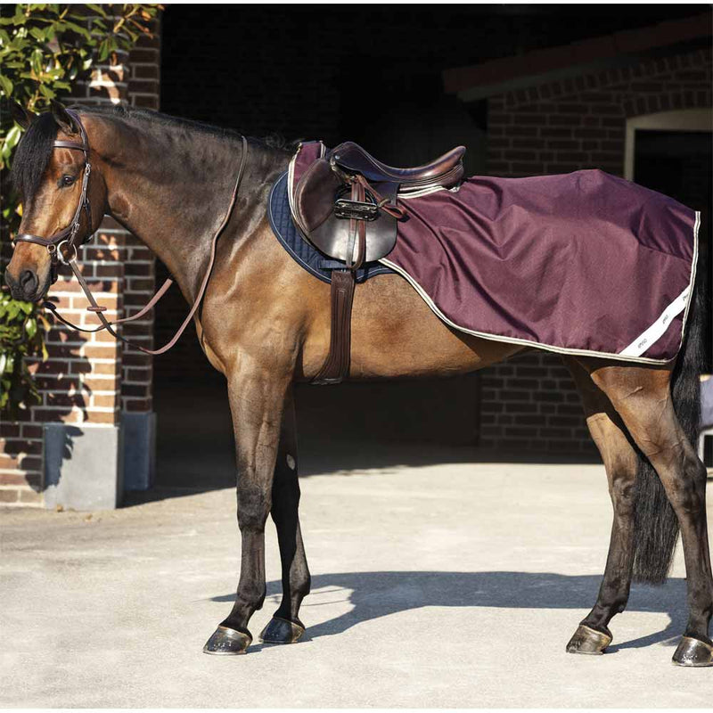 Amigo Ripstop Competition Sheet (No Fill, Fleece Lining)