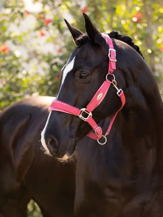 LeMieux Versailles Headcollar